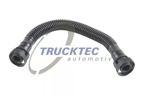 Hose, crankcase ventilation