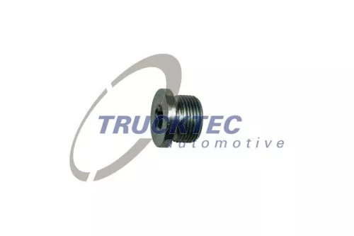 Screw Plug, automatic transmission casing