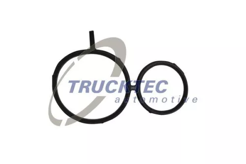 Gasket, timing case