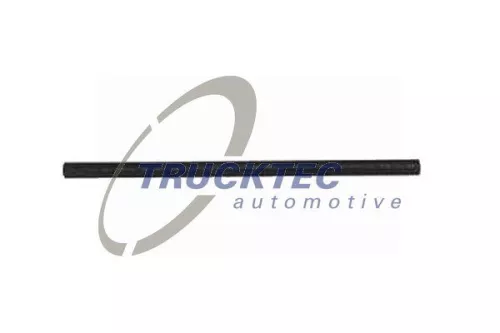 Hose, crankcase ventilation