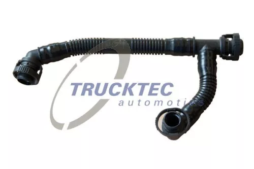 Hose, crankcase ventilation