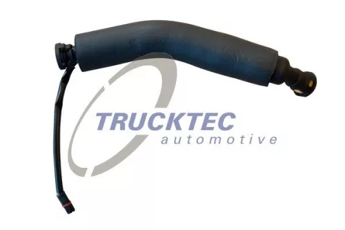 Hose, crankcase ventilation