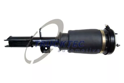 Air Suspension Strut