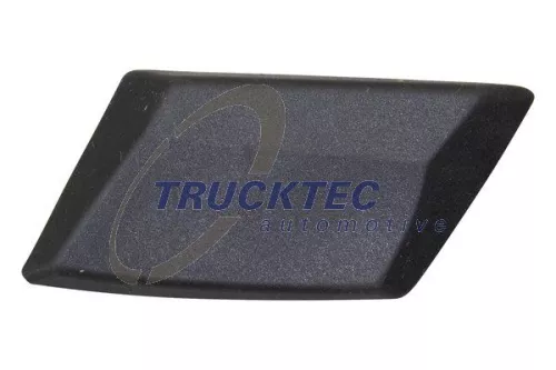 Trim/Protection Strip, quarter panel