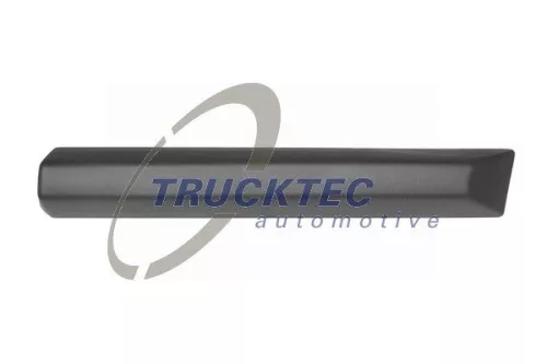 Trim/Protection Strip, wing