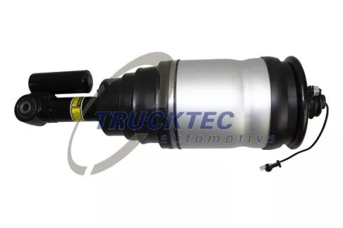 Air Suspension Strut