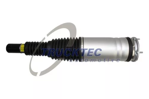 Air Suspension Strut