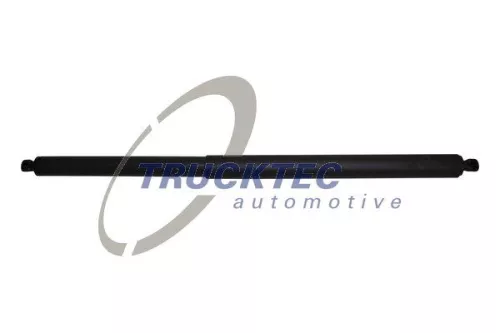 Gas Spring, boot/cargo area