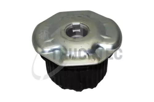 Bushing, axle beam