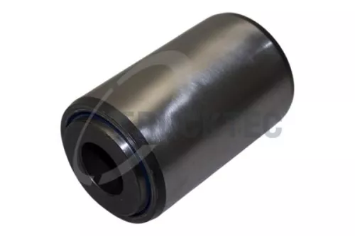 Bushing, leaf spring