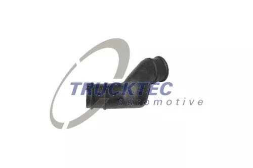 Hose, crankcase ventilation
