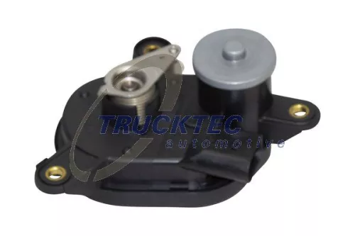 Control, swirl flaps (induction pipe)