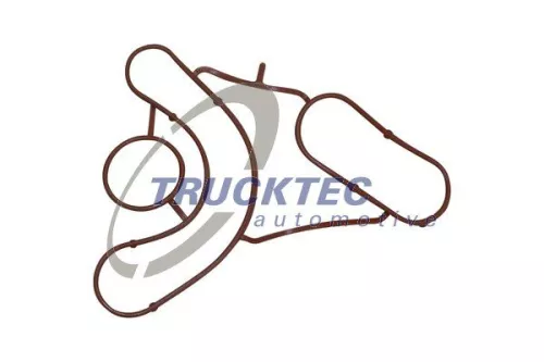 Gasket, oil cooler