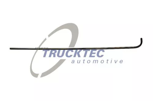 Trim/Protection Strip, quarter panel