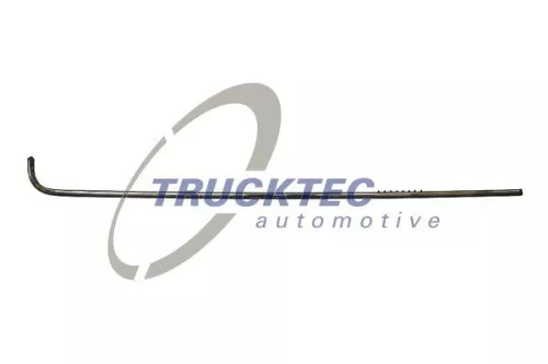 Trim/Protection Strip, quarter panel