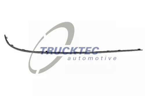 Trim/Protection Strip, bumper
