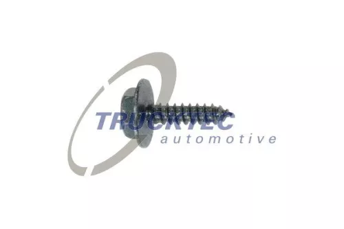 Sheet Metal Screw