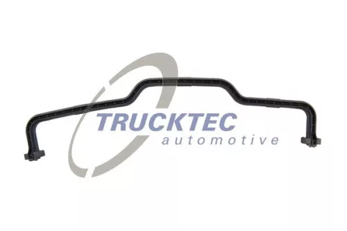 Gasket, timing case