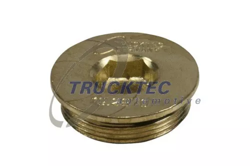 Screw Plug, crankcase