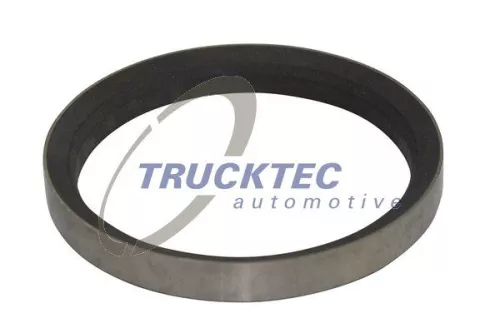 Valve Seat Ring